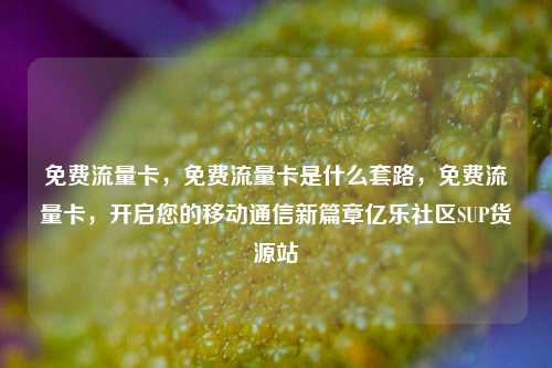 免费流量卡，免费流量卡是什么套路	，免费流量卡，开启您的移动通信新篇章亿乐社区SUP货源站  第1张